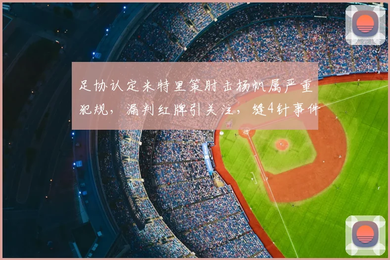 足协认定米特里策肘击杨帆属严重犯规，漏判红牌引关注，缝4针事件回顾