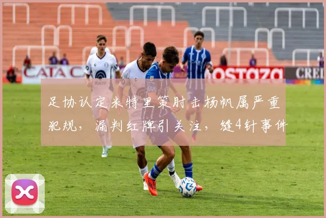 足协认定米特里策肘击杨帆属严重犯规,漏判红牌引关注,缝4针事件回顾
